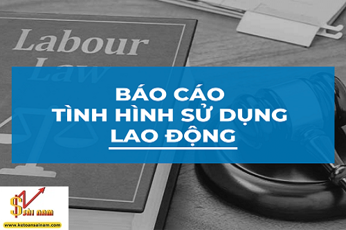 BÁO CÁO TÌNH HÌNH SỬ DỤNG LAO ĐỘNG