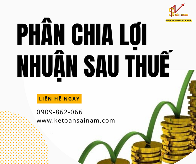 PHÂN CHIA LỢI NHUẬN SAU THUẾ VÀ TRÍCH LẬP CÁC QUỸ